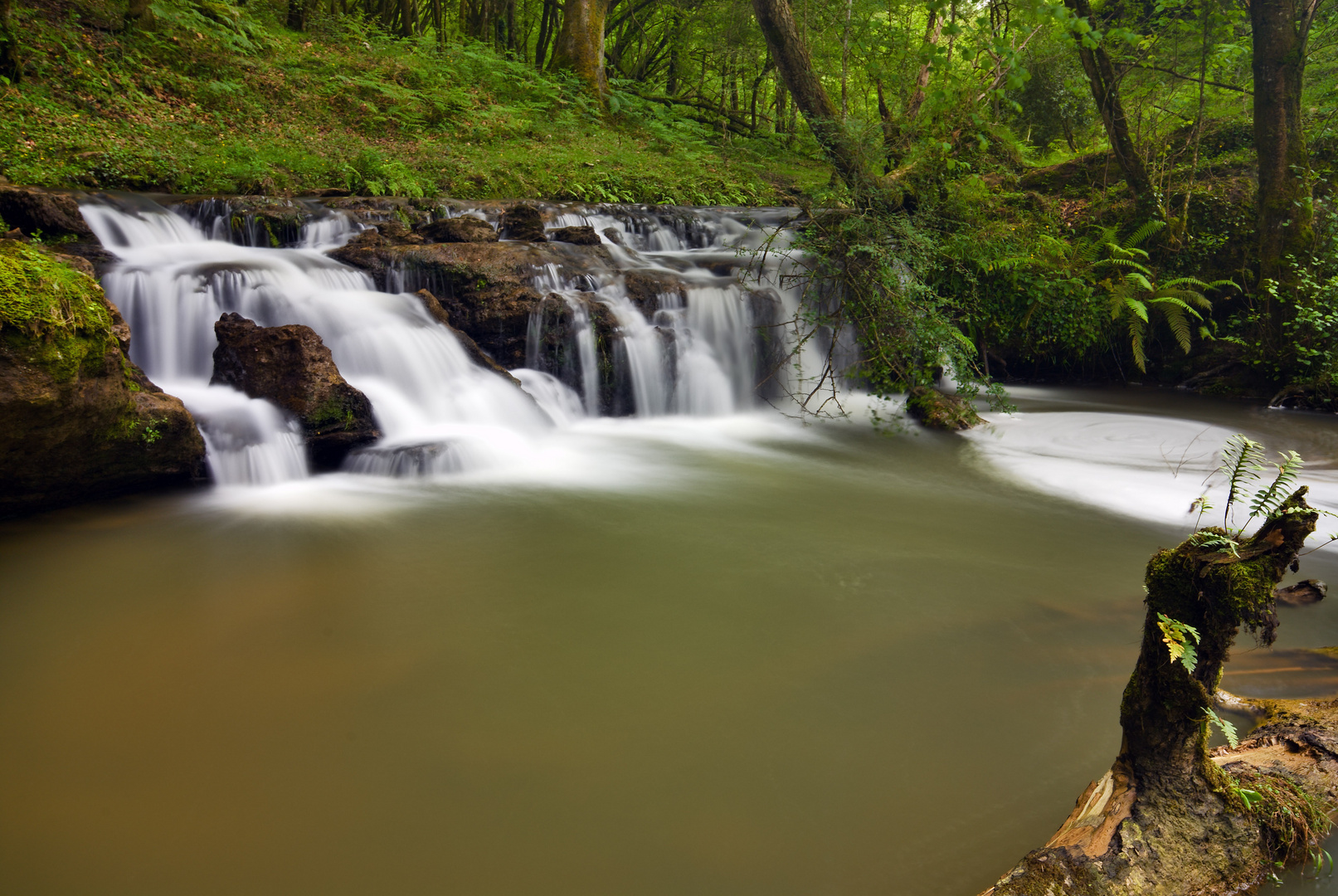 Aguas de primavera