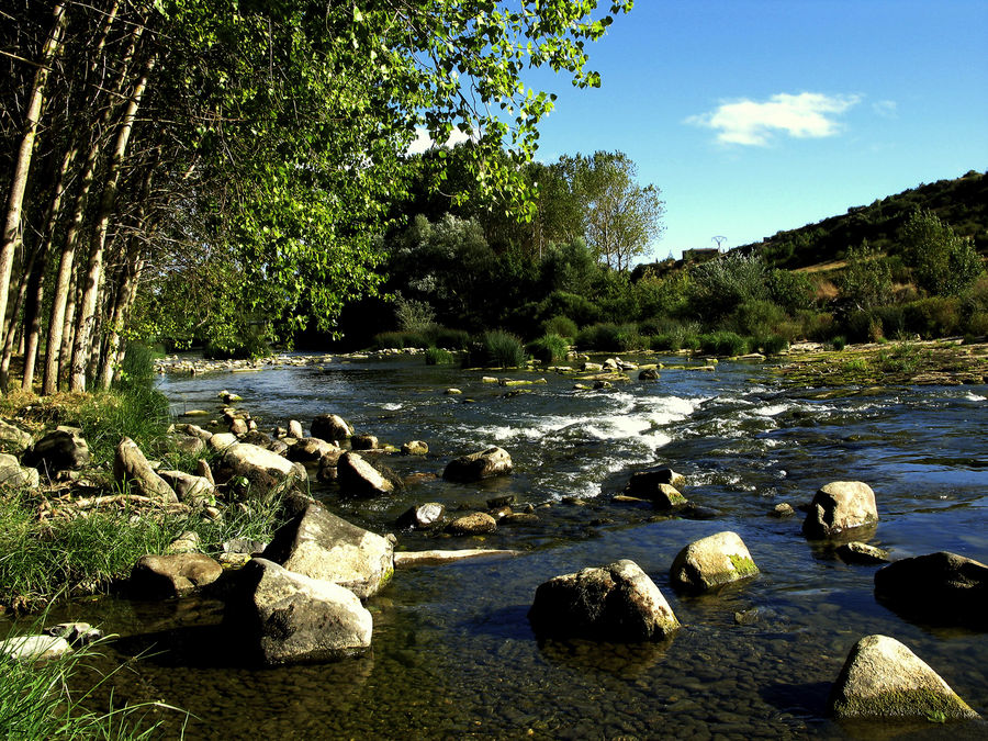 Aguas en el Camino de Santiago