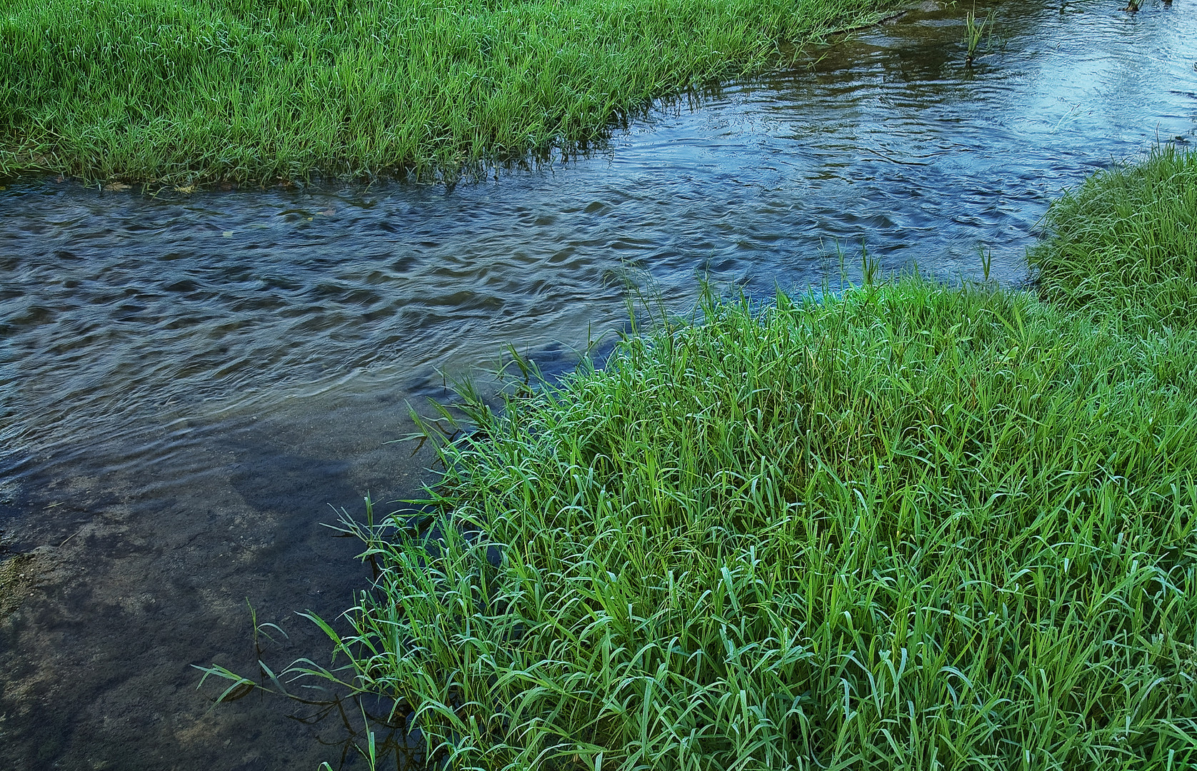 AGUAS LIMPIAS .....LLENAS DE VIDA