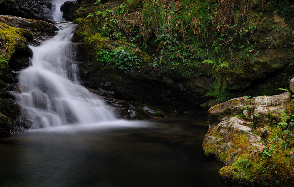 Aguas negras II