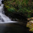 Aguas negras II