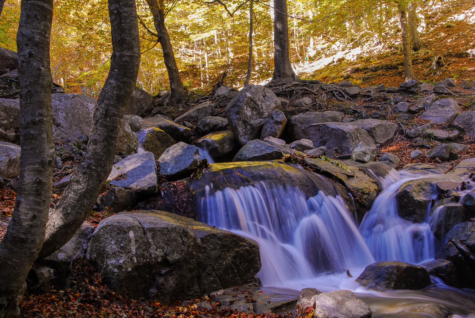 Aguas otoñales