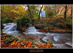 Aguas Turbulentas Web