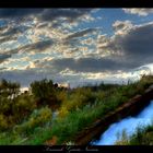 Agua,Tierra y Aire