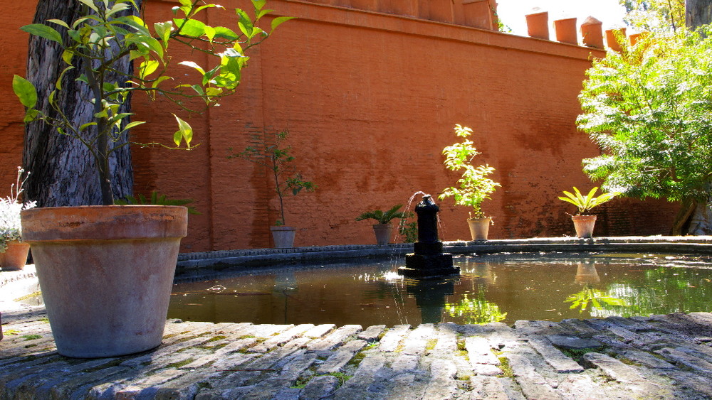 Agua...y luz.