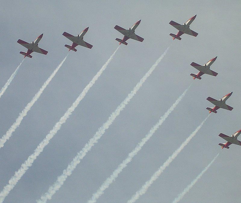 aguila roja