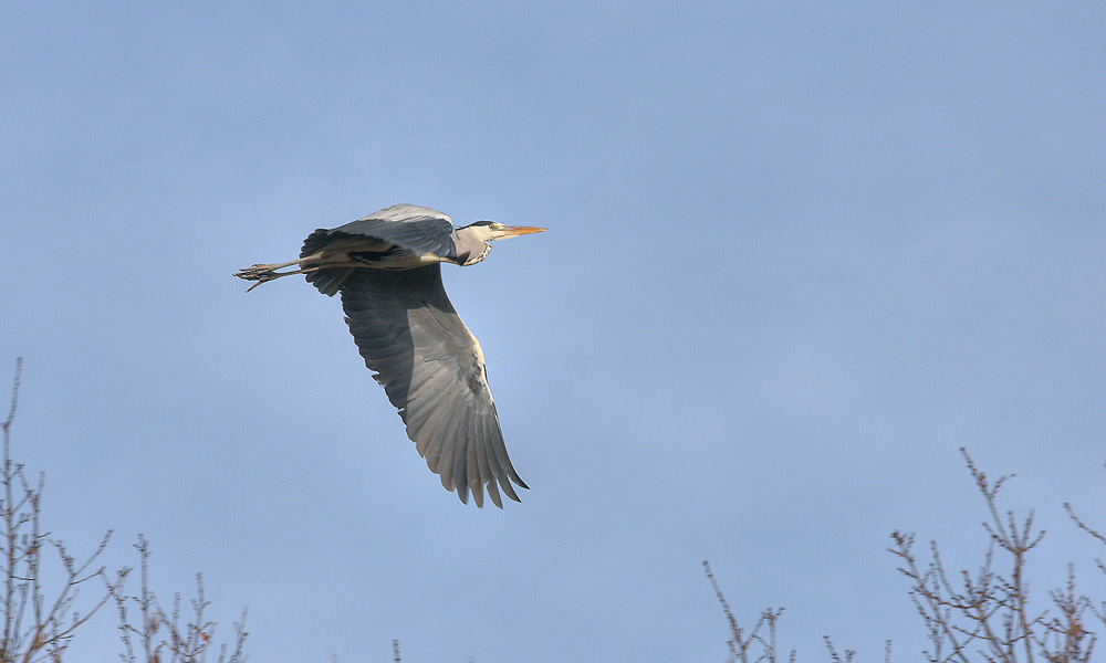 Ah!!! celà fait du bien de ce dètendre les ailes