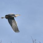 Ah!!! celà fait du bien de ce dètendre les ailes