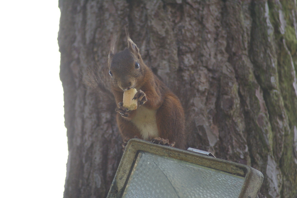 ah j'avais faim moi ! merci