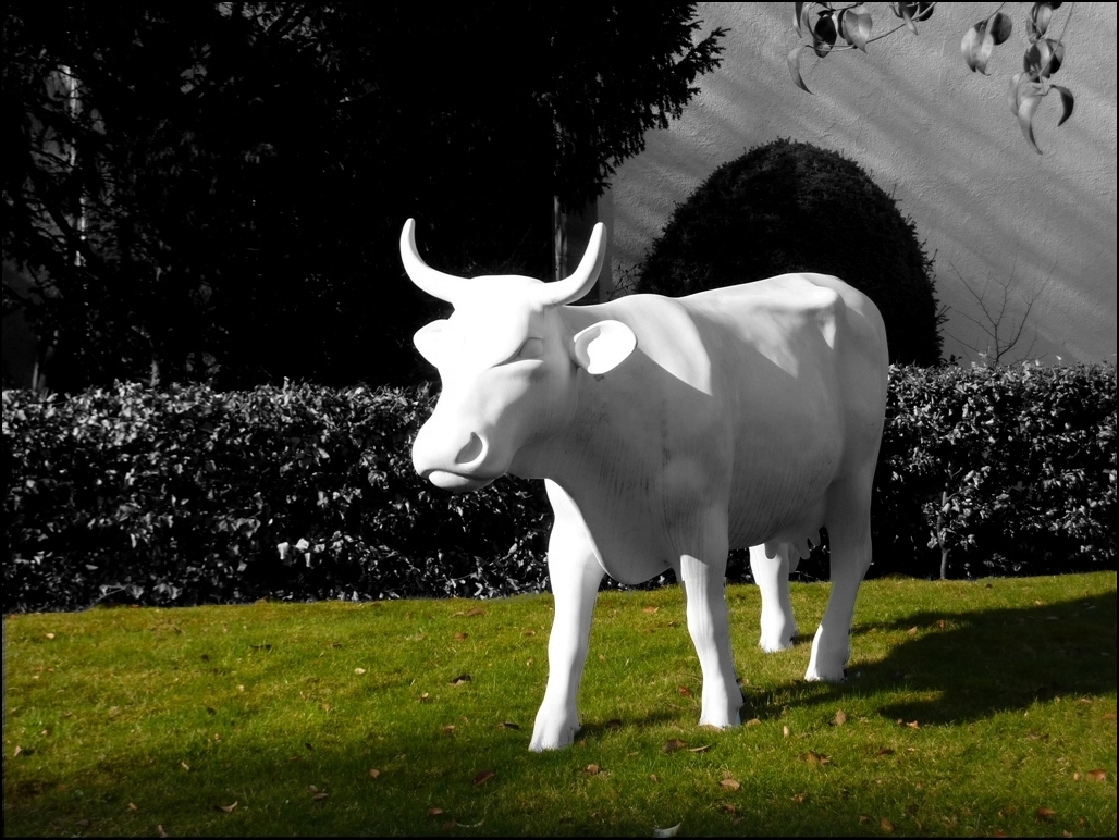 AH!!!!!!!!!!! La Vache !!!!!