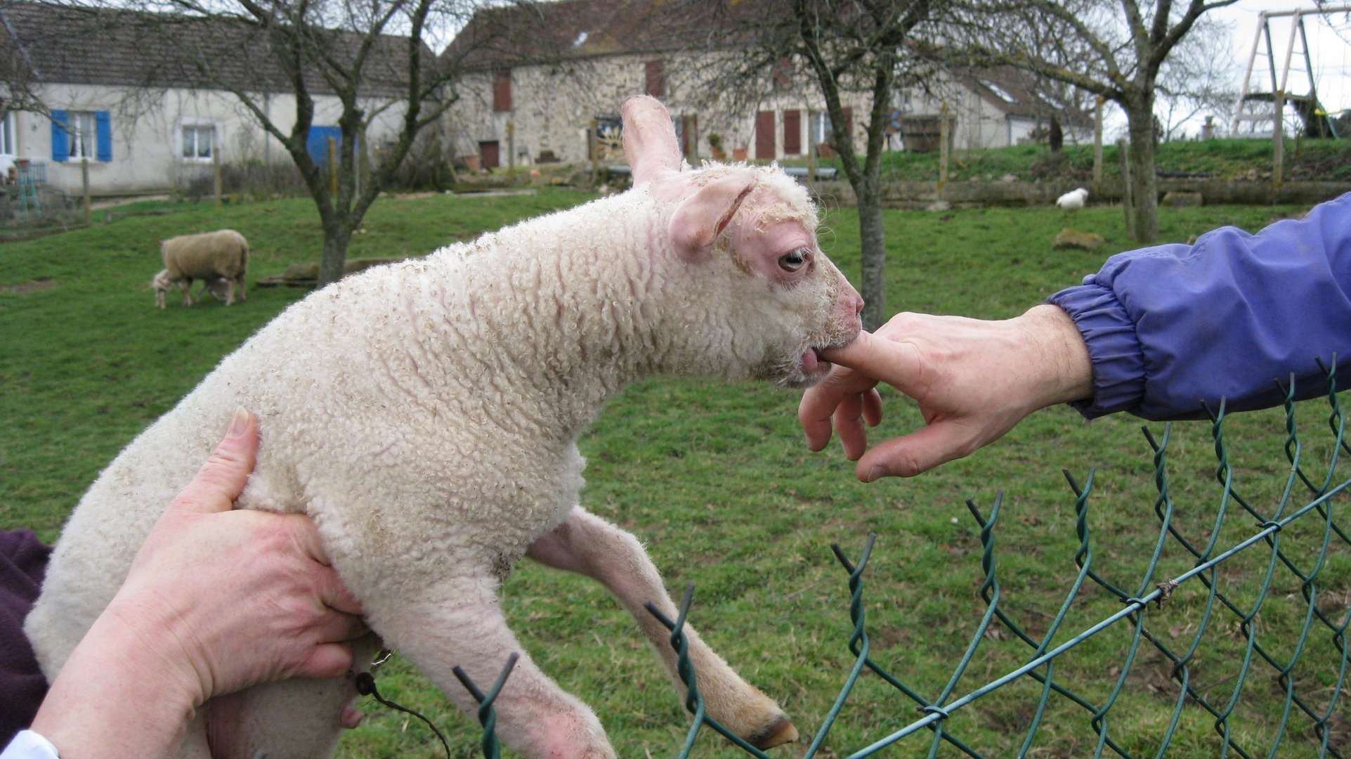 ah non  !! ce n'est pas un biberon 