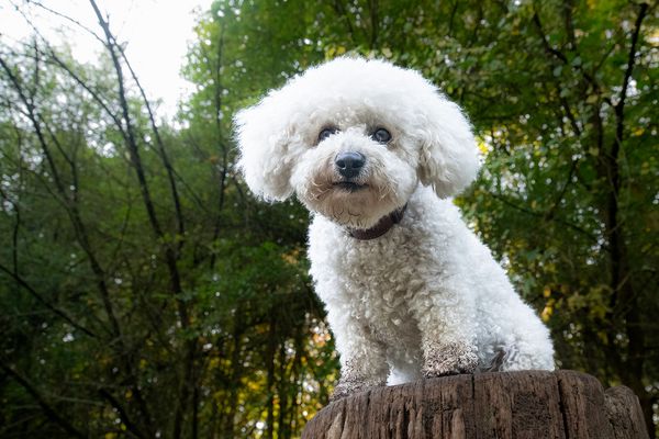 Ah schau, das niedere Volk! :-)) 