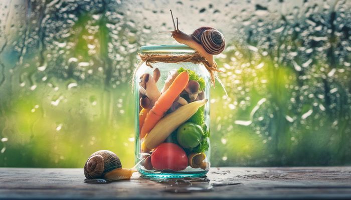 Ah zut ils ont fermé le bouchon