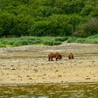 Aha Mutter und Kind.                              DSC_5308