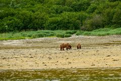 Aha Mutter und Kind.                              DSC_5308