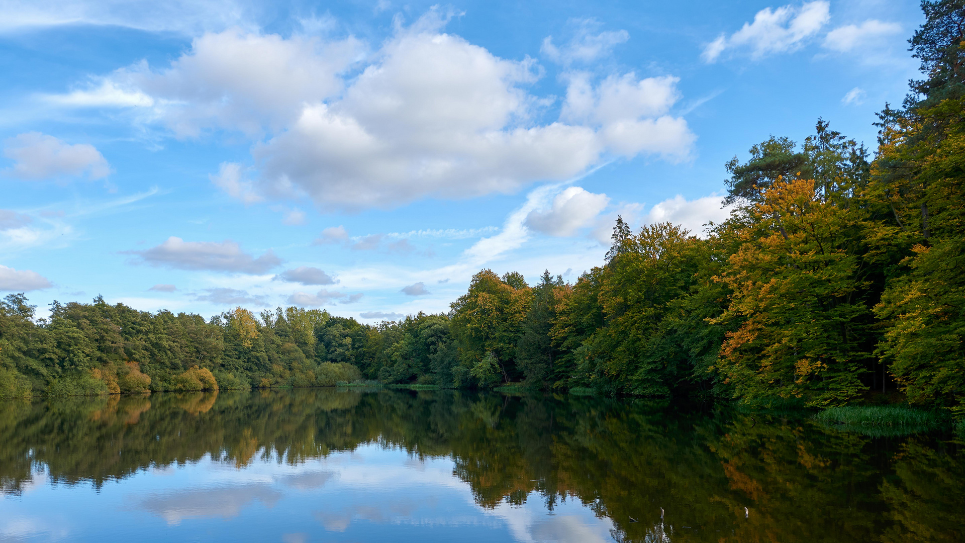 Ahauser Mühlenteich