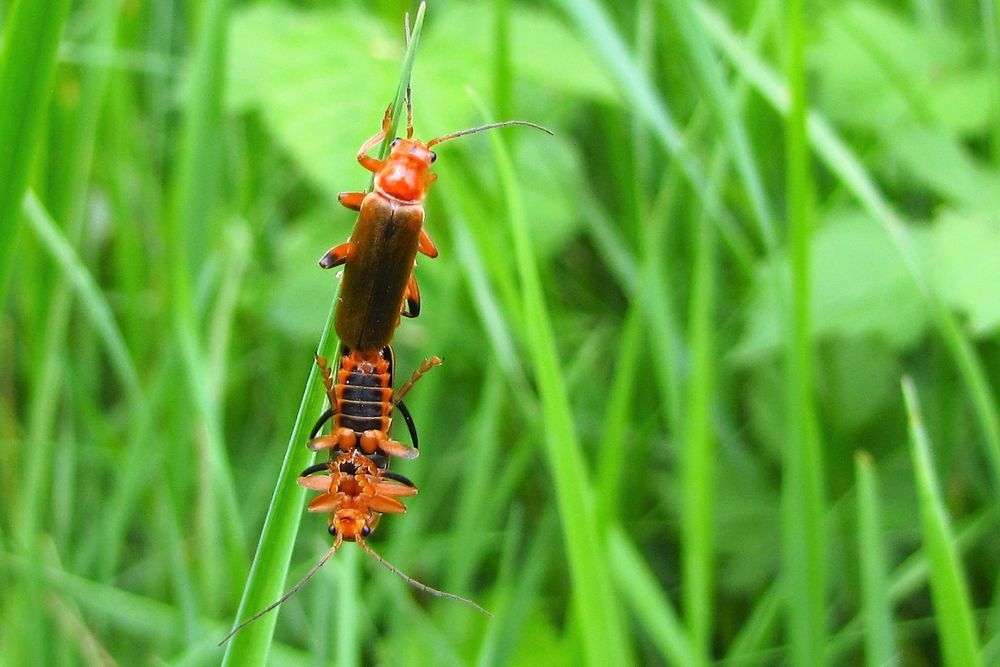 Ah........ich habe jetzt 