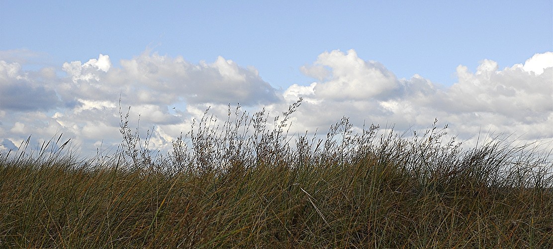 Ahlbeck im Herbst I