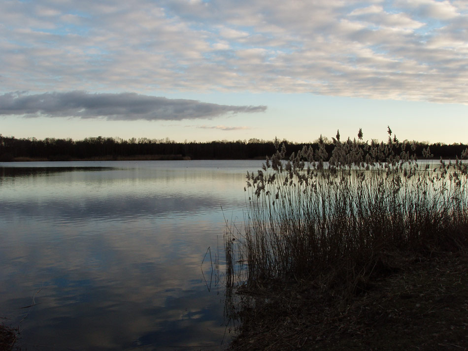 Ahlhorner Fischteiche