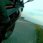 User Profile Photo