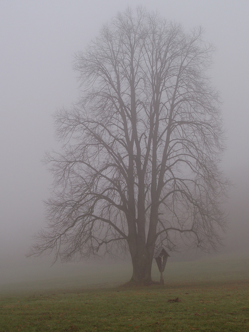 Ahnung vom Winter