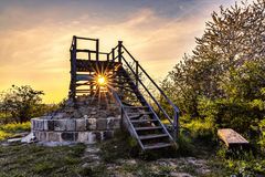 Aholzwarte im Harz