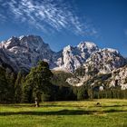 Ahorn + Karwendel = grandiose Natur