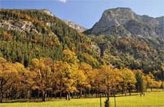 AHORNBODEN AM KARWENDEL