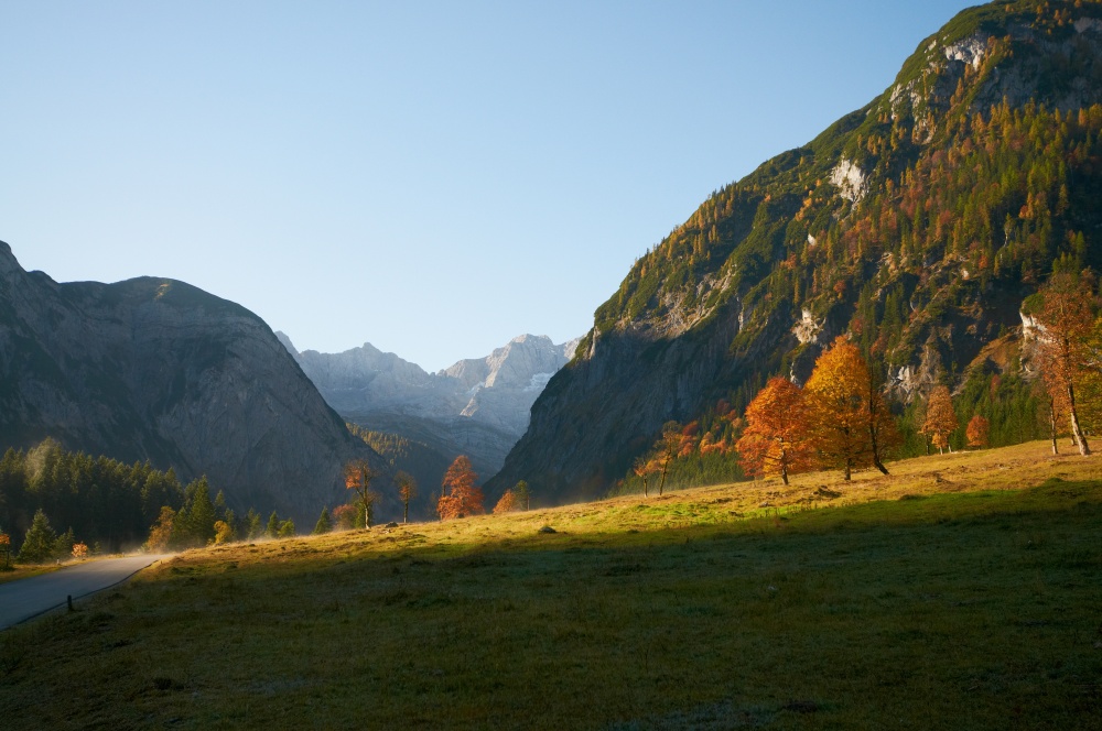 Ahornboden im Herbst