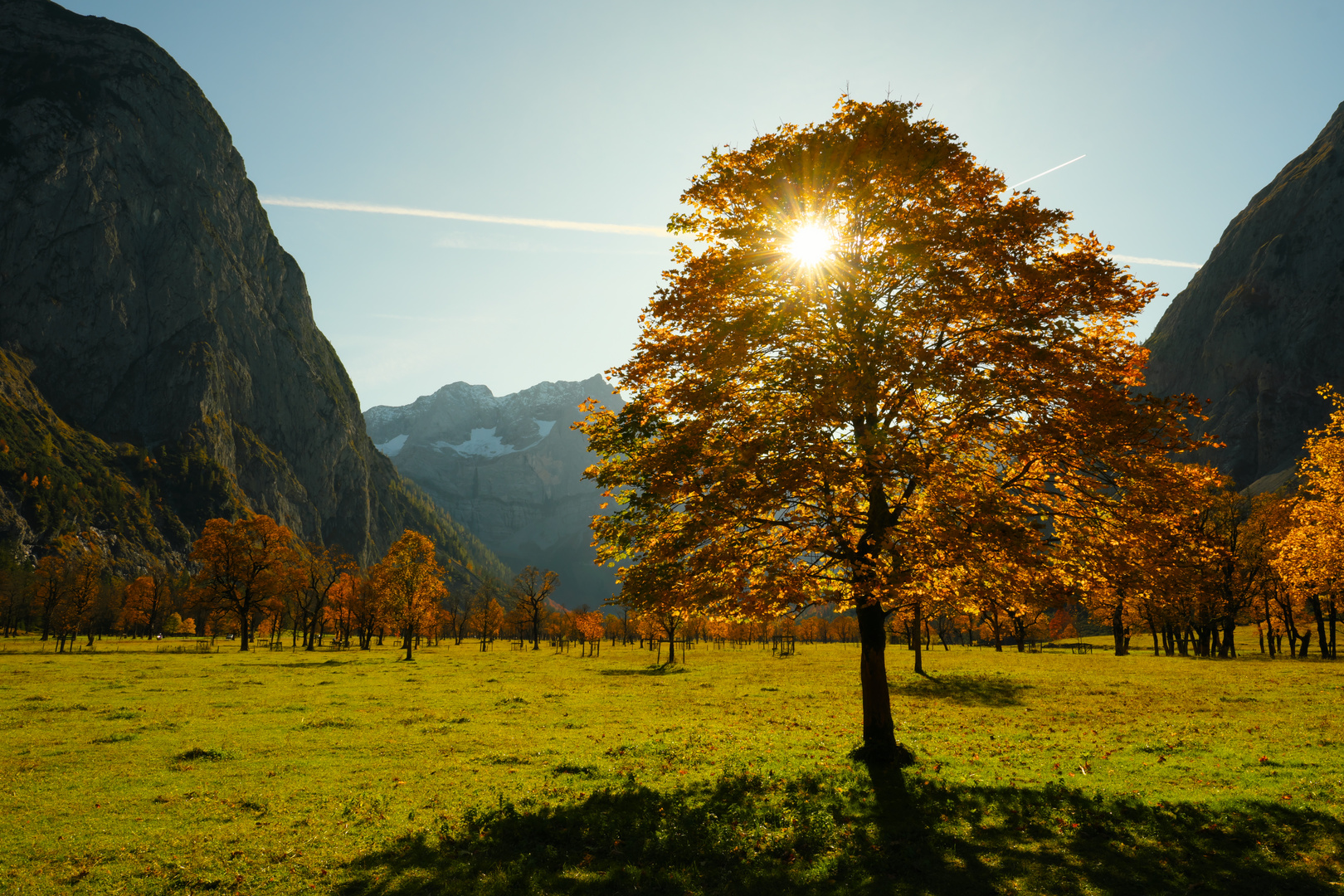 Ahornboden im Herbst