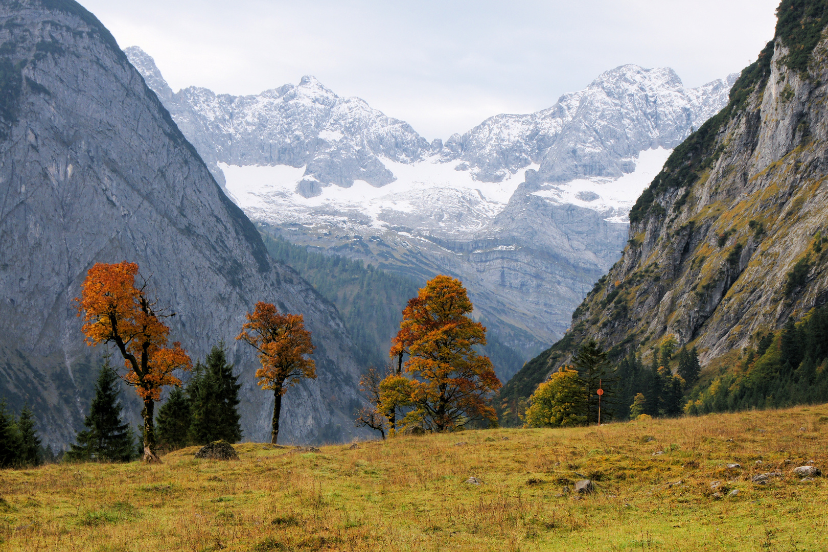 Ahornboden im Herbst