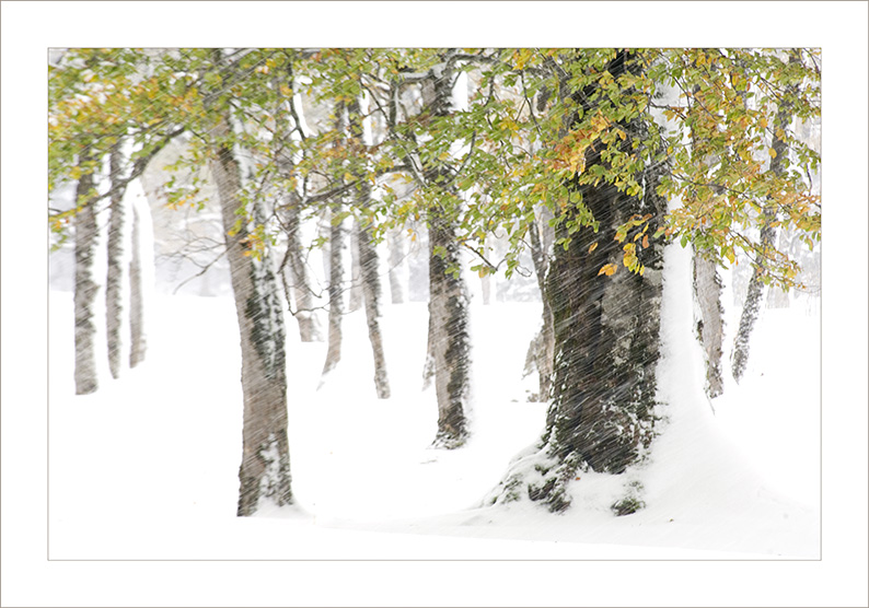 Ahornboden im Schnee - Teil 2