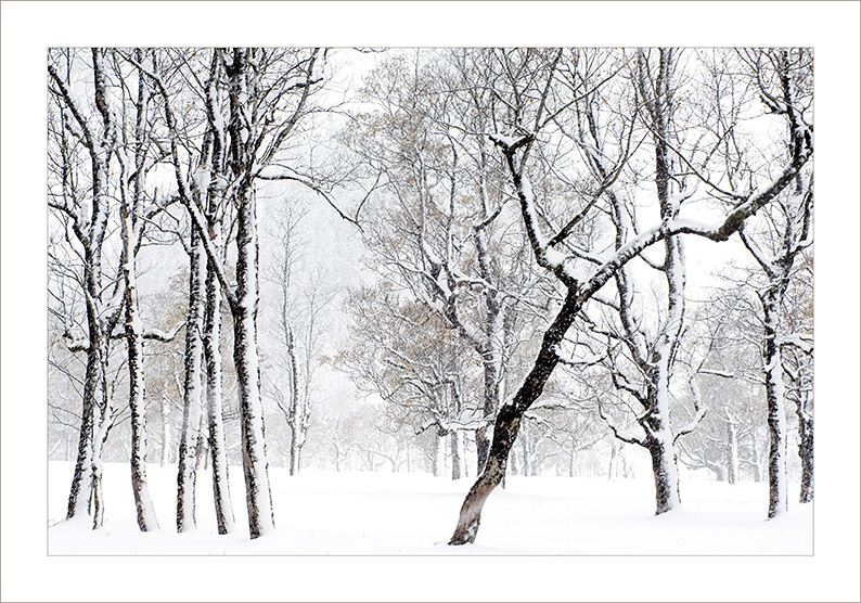 Ahornboden im SchneeTeil1