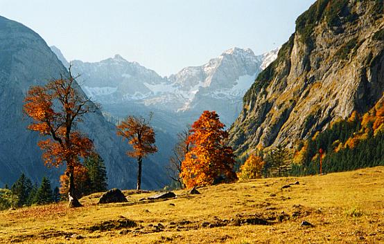 "Ahornboden" in der Eng, Oberbayern von P-J-B