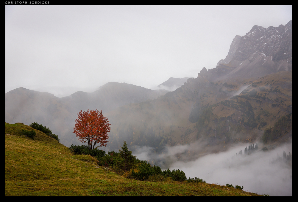 Ahornboden - Karwendel #1