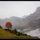 Ahornboden - Karwendel #1