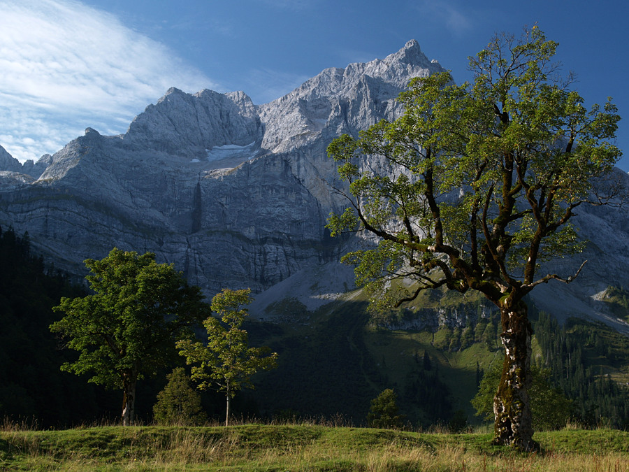 Ahornboden Karwendel