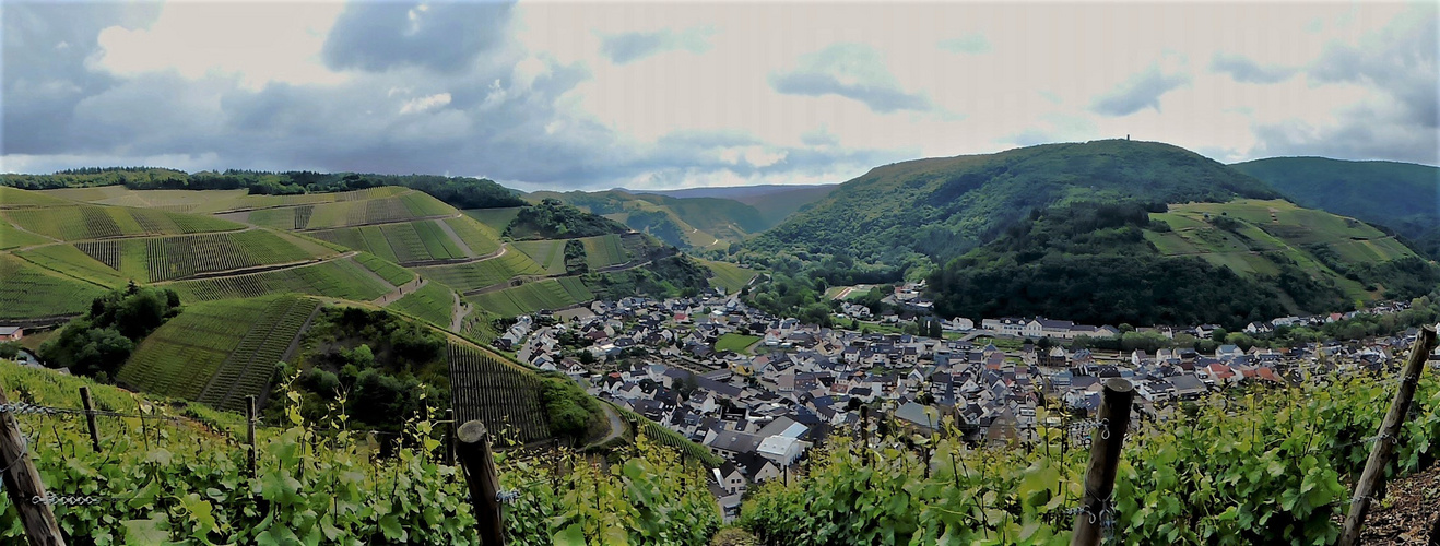        Ahr - Blick auf Dernau