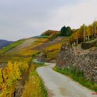 Ahr  Rotweinwanderweg: Fotogemälde.....