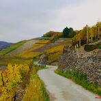 Ahr  Rotweinwanderweg: Fotogemälde.....