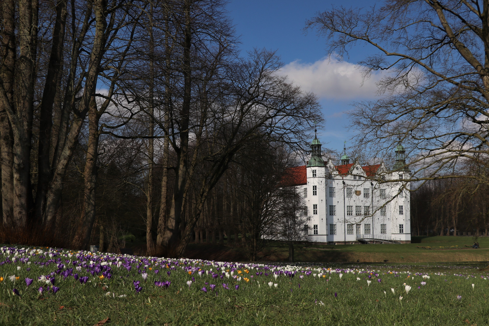 Ahrensburger Schloss mit Krokusblüte