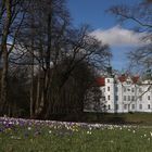 Ahrensburger Schloss mit Krokusblüte