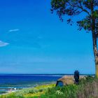 Ahrenshoop an der Ostsee