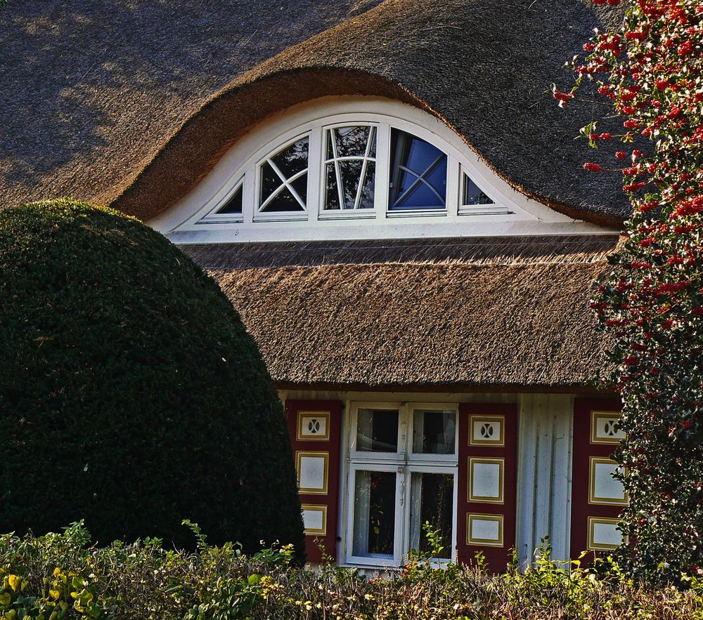 Ahrenshoop, Fischland-Darß