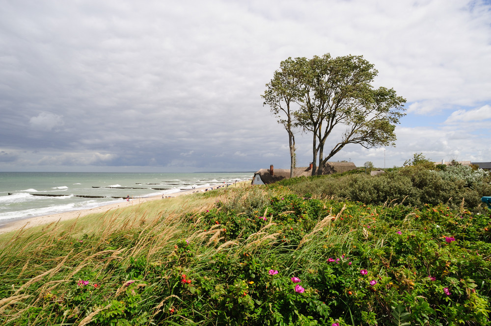 Ahrenshoop Grenzweg