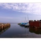 Ahrenshoop, Hafen mit Ente