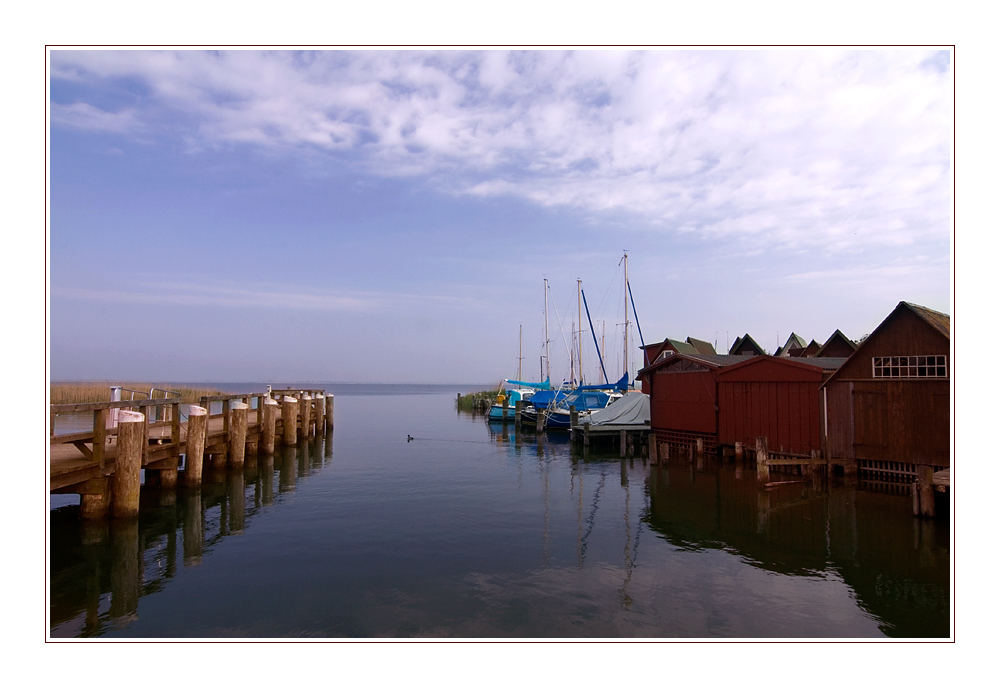 Ahrenshoop, Hafen mit Ente