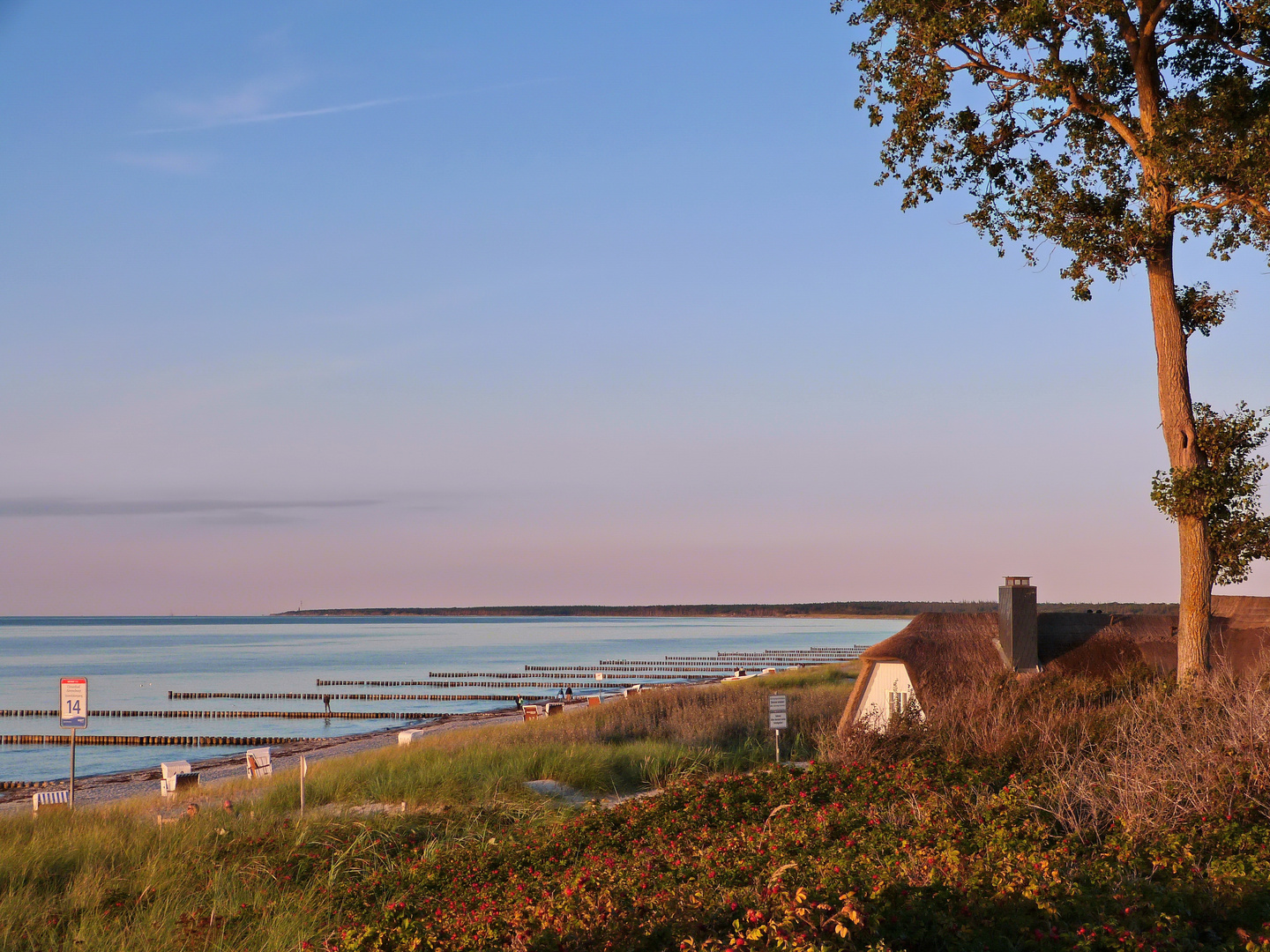 Ahrenshoop – Klassiker im abendlichen Sonnenlicht