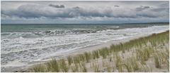 Ahrenshoop Strand