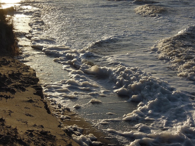 Ahrenshoop Strand im Januar 2